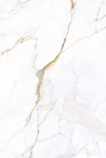 ARTCER 1XL Apollo White POLI