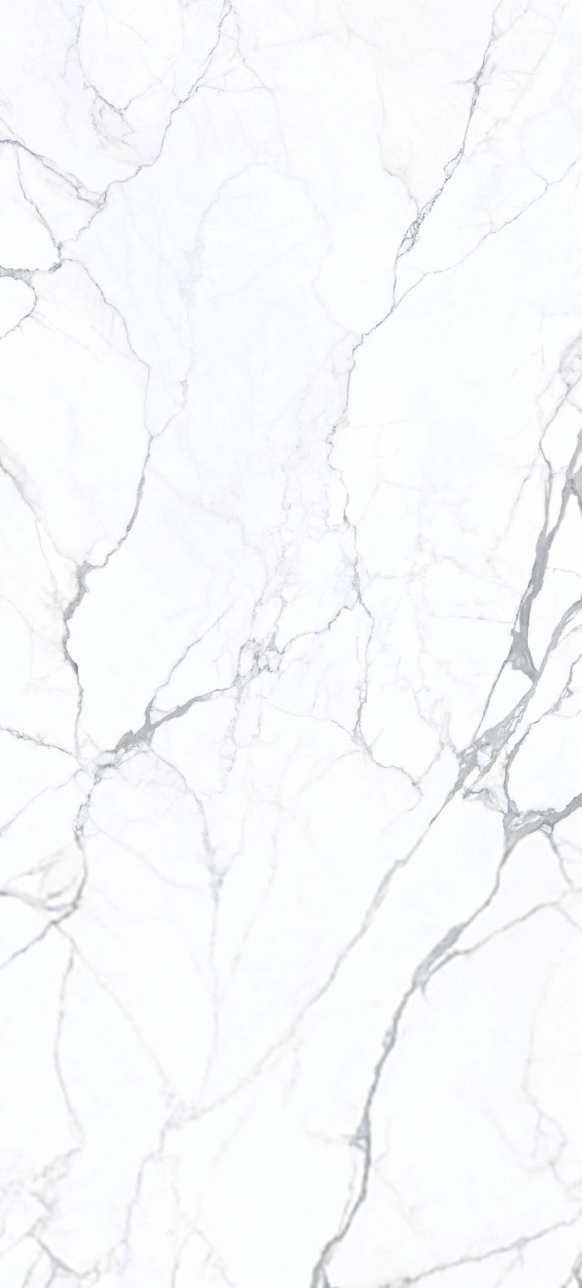 ARTEMISA BLANCO MATT